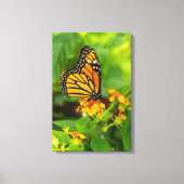 Monarch op Lantana Canvas Afdruk (Voorkant)