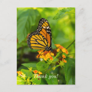 Monarch op Lantana Dankkaart Briefkaart