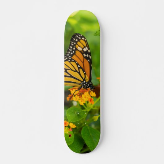 Monarch op Lantana Skateboard (Voorkant)