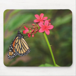 Monarch op Penta-bloemen Muismat