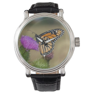 Monarch op weide Distel Prairie Ridge Horloge