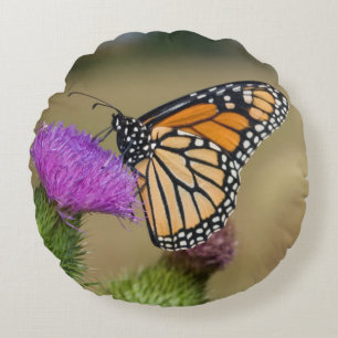 Monarch op weide Vederdistel Prairie Ridge Rond Kussen