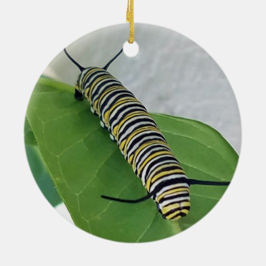 Monarch Ornament (Achterkant)