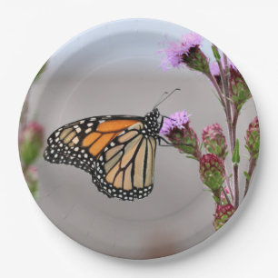 Monarch Papieren Bordje