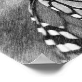 Monarch Papillon noir Poster d'art crayon noir (Coin)