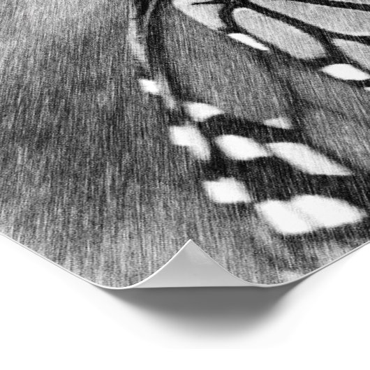 Monarch Papillon noir Poster d'art crayon noir (Coin)