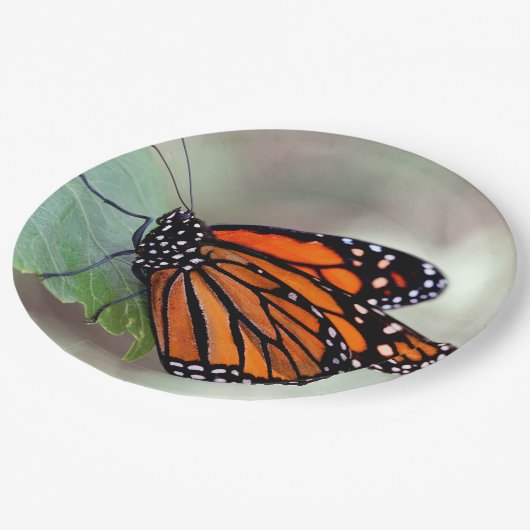 Monarch resting papieren bordje (Gekanteld)