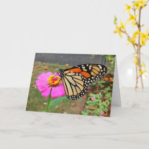 Monarch: roze zink, blanco kaart