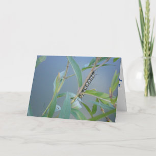 "Monarch Rups #2" Beterschap Kaart