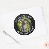 Monarch rups sticker (Envelop)