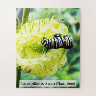 Monarch Rupsvlinder & Zwaneplant Zaad 56 Stuks Legpuzzel