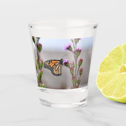 Monarch Shot Glas (Voorkant)
