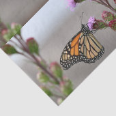 Monarch Tissuepapier (Detail)