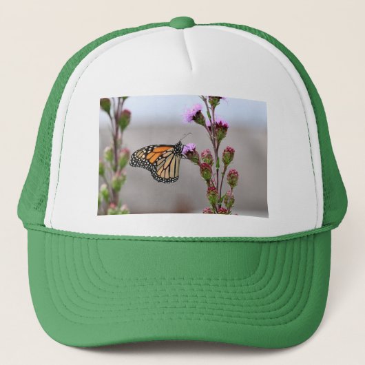 Monarch Trucker Pet (Voorkant)