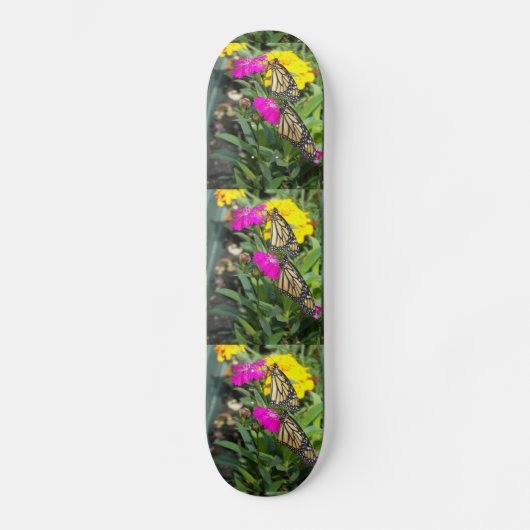 Monarch Twins #2 skateboard (Recto)