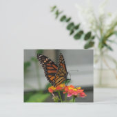 Monarch van Briefkaart Lantana (Staand voorkant)
