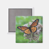 Monarch van de wilde Magnet Magneet (Voorkant / Achterkant)