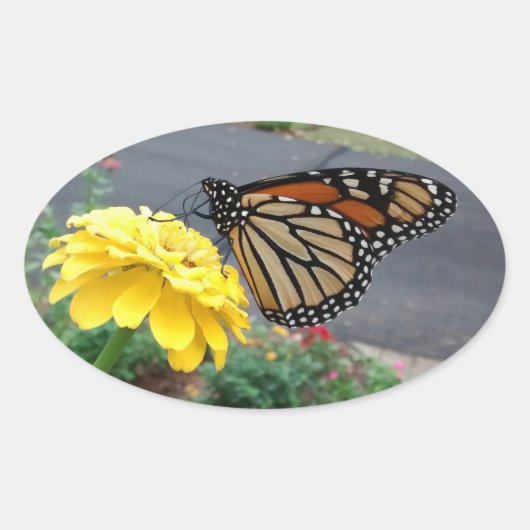 Monarch van Gele Zinnia Ovale Sticker (Voorkant)