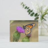 Monarch van grasland Thistle Prairie Ridge Briefkaart (Staand voorkant)