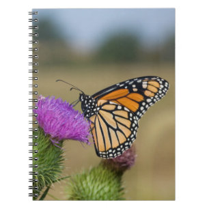 Monarch van grasland Thistle Prairie Ridge Notitieboek