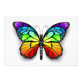 Monarch van regenboogvlinders foto afdruk