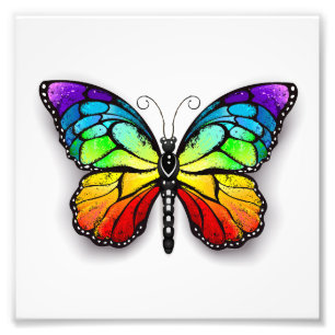 Monarch van regenboogvlinders foto afdruk