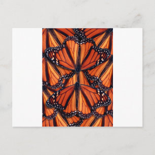 monarch vlinder briefkaart