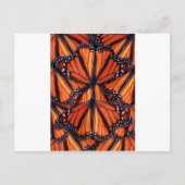 monarch vlinder briefkaart (Voorkant)