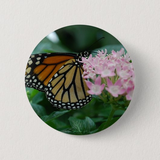 Monarch Vlinder Button Pin (Voorkant)