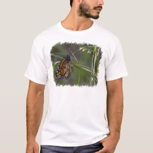 Monarch vlinder in het gras t-shirt