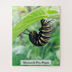 Monarch Vlinder Rups Pre-Pop Stadium 56 stuks Legpuzzel