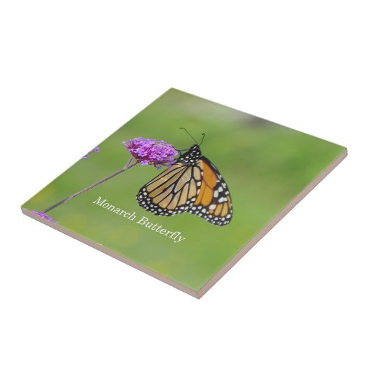 Monarch vlinder tegel tegeltje (Zijkant)
