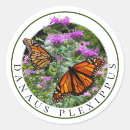Monarch Vlinders en Bee Balm Monarda Ronde Sticker