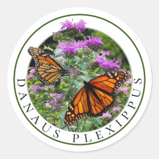 Monarch Vlinders en Bee Balm Monarda Ronde Sticker