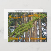 Monarch vlinders op Point Pinole - Briefkaart (Voorkant / Achterkant)