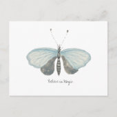 Monarch  Waterverf vlinder Briefkaart (Voorkant)