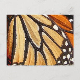 Monarch Wing ~ briefkaart