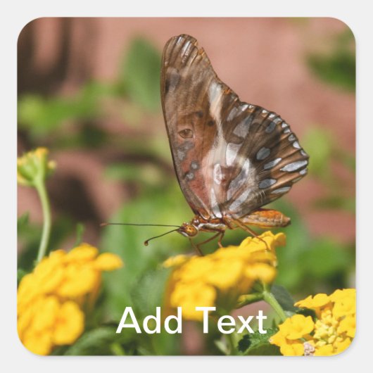 Monarch Wings - Hond en Vlinder Stickers (Voorkant)