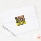 Monarch Wings - Hond en Vlinder Stickers (Envelop)