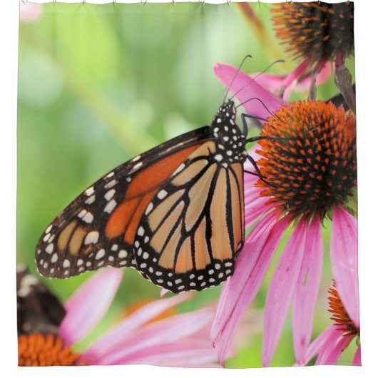 monarchie douchegordijn (Voorkant)