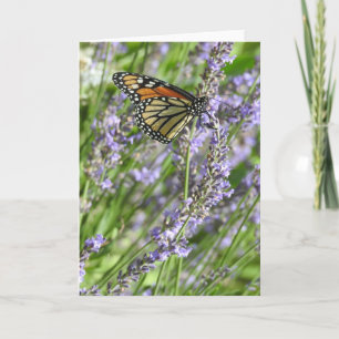 Monarchvlinder in een lavendelveld blanco kaart