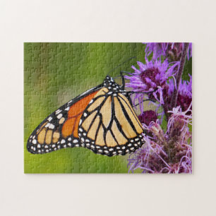 Monarchvlinder op Liatris Legpuzzel