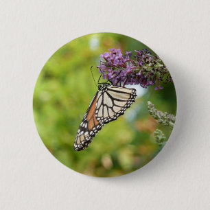 Monarchvlinder op paarse vlinderstruik ronde button 5,7 cm