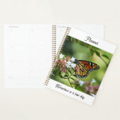 Monarchvlinder Planner (Display)