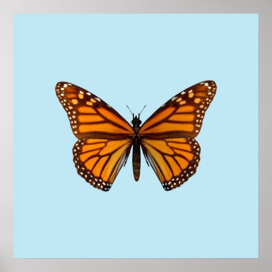 Monarchvlinder Poster (Voorkant)