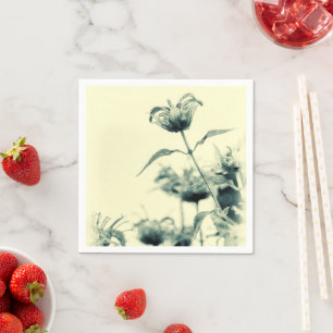 Monarda of Bee Balm Servet