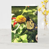 Monarque de cartes de voeux sur Tithonia (Fleur jaune)