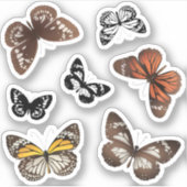 Monarque papillon autocollants ensemble papillon c (Devant)