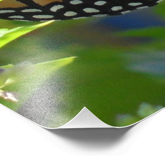 Monarque Papillon Inspirational Citation Poster (Coin)