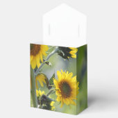 Monarque papillon Sunflower Ballotins (Ouvert)